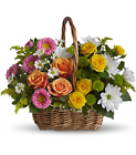 Sweet Tranquility Basket Cottage Florist Lakeland Fl 33813 Premium Flowers lakeland